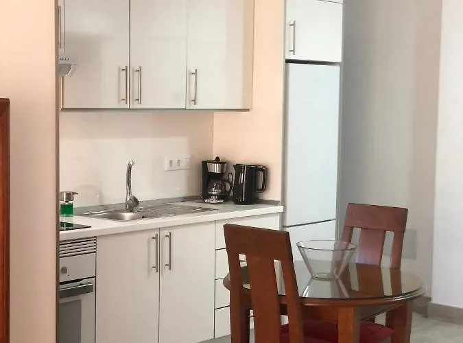 Tantul Crissol 211 Apto 1hab Appartement Los Cristianos (Tenerife)
